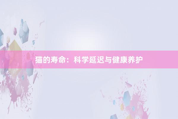 猫的寿命：科学延迟与健康养护