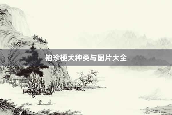 袖珍梗犬种类与图片大全