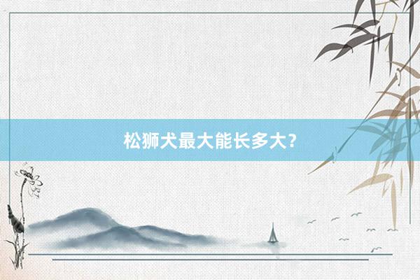 松狮犬最大能长多大？